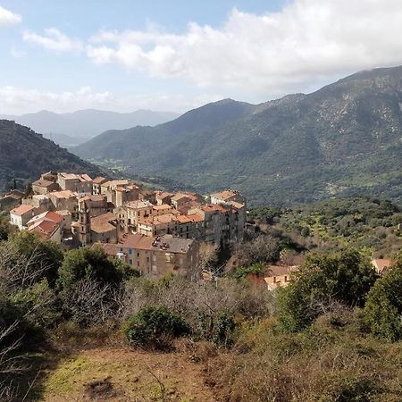 Casa Corsa Villa Santa-Lucia-di-Tallano Eksteriør bilde