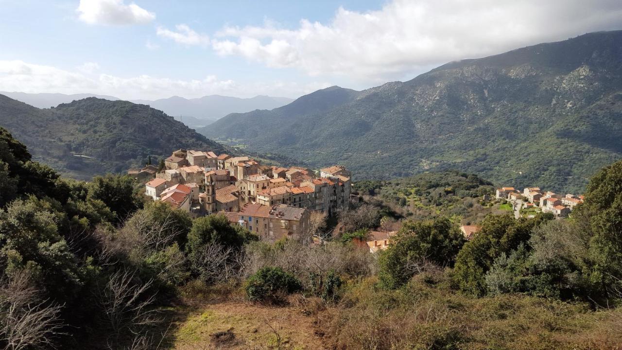 Casa Corsa Villa Santa-Lucia-di-Tallano Eksteriør bilde